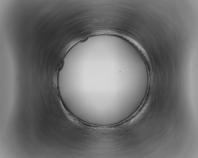 X0000116830905200912181052