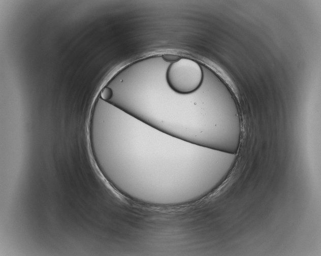 X0000116830906200912181052