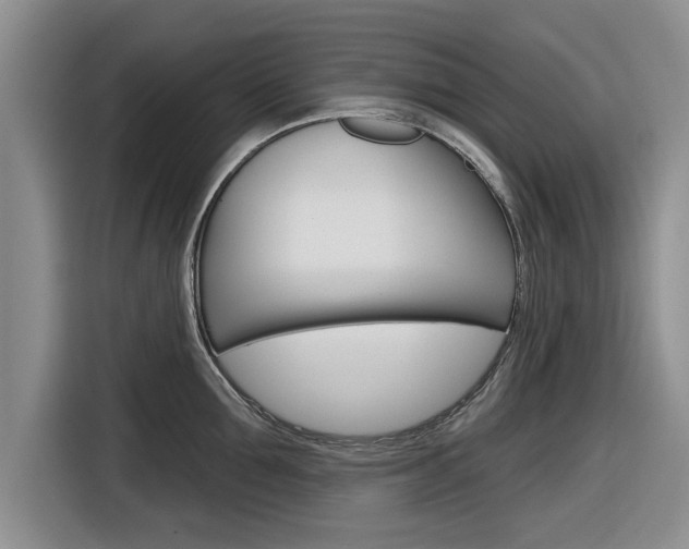 X0000116830907200912181052