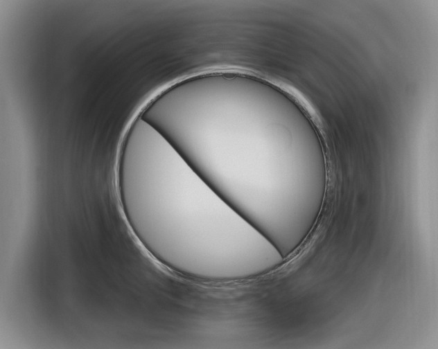 X0000116830910200912181052