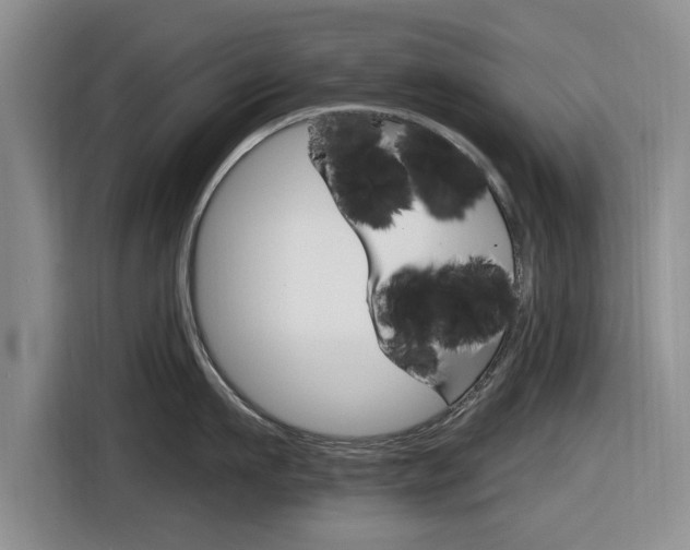 X0000116830911200912181052