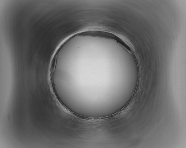 X0000116830912200912181052