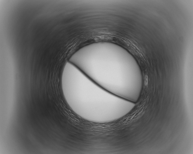 X0000116830915200912181051