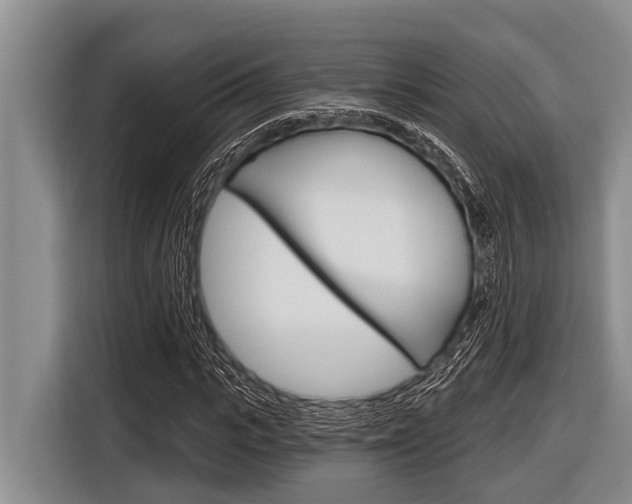 X0000116830919200912181051
