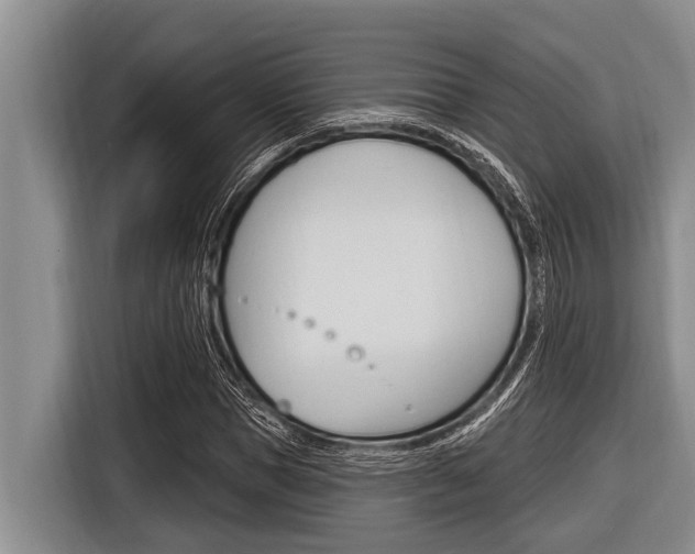 X0000116830921200912181051