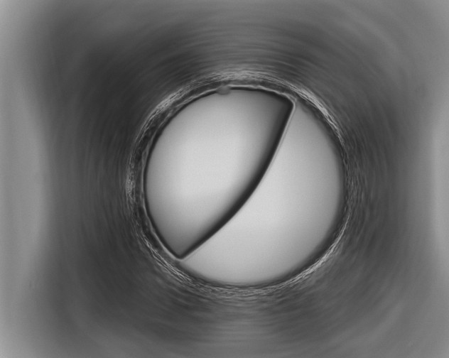 X0000116830922200912181051