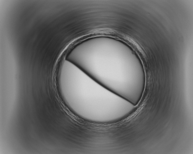 X0000116830923200912181051