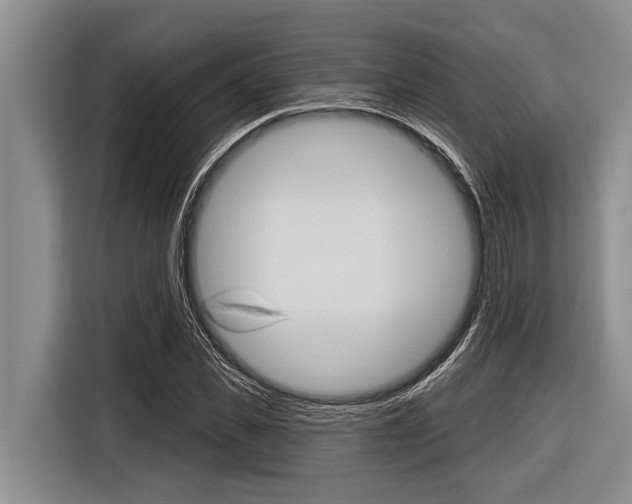 X0000116830925200912181051