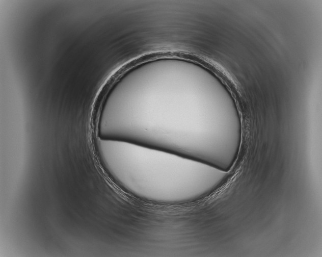 X0000116830927200912181051