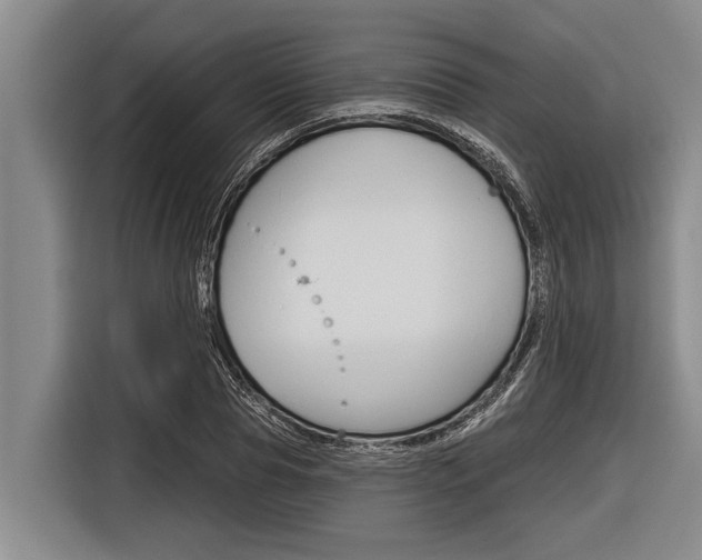 X0000116830929200912181051