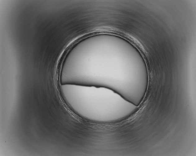 X0000116830931200912181051