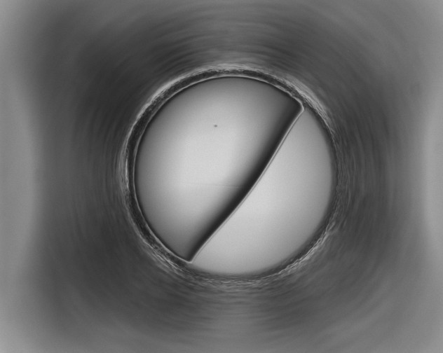 X0000116830934200912181051