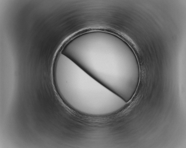 X0000116830935200912181051