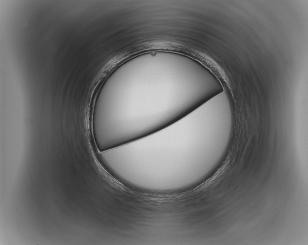 X0000116830938200912181051