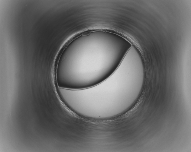 X0000116830942200912181051