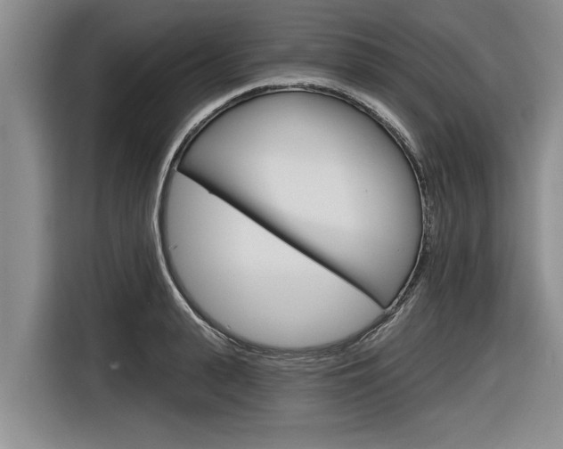 X0000116830943200912181051