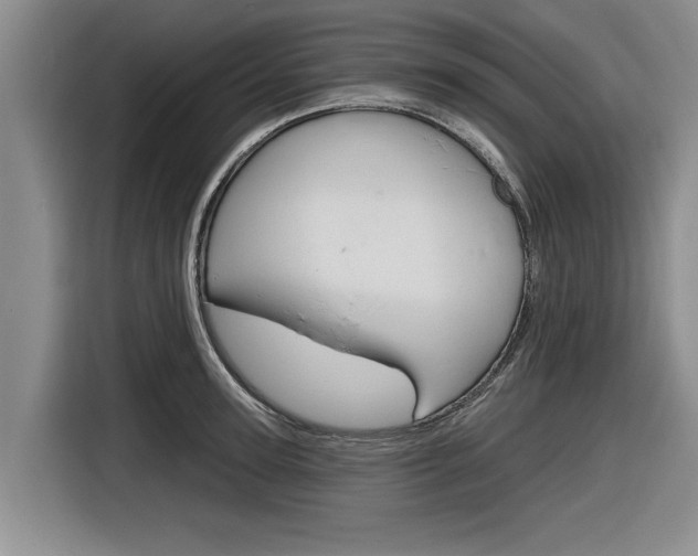 X0000116830947200912181051