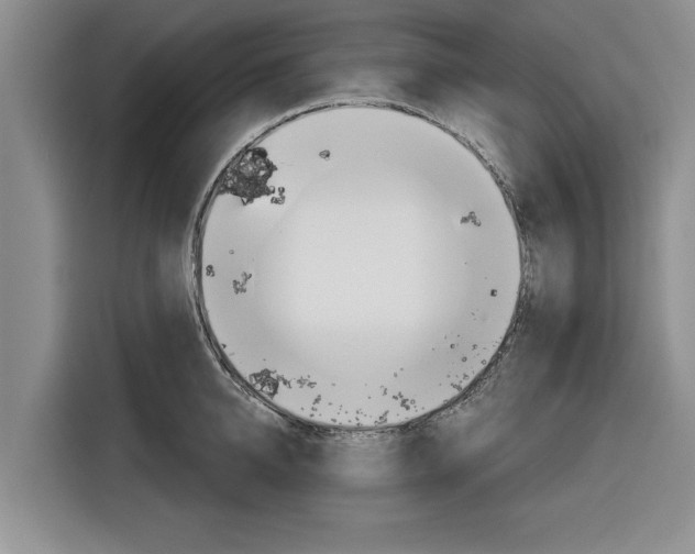 X0000116830950200912181051