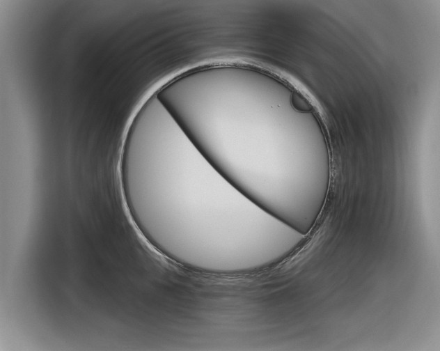 X0000116830951200912181051