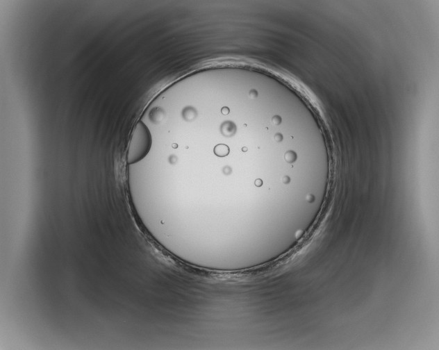 X0000116830953200912181051