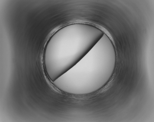 X0000116830954200912181051