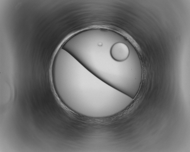 X0000116830955200912181051