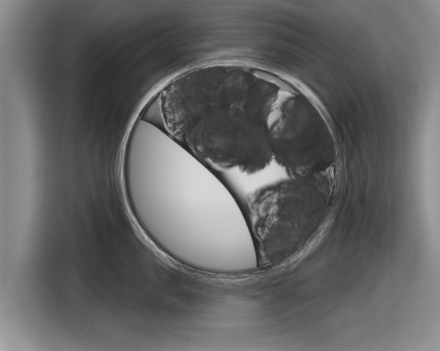 X0000116830957200912181052