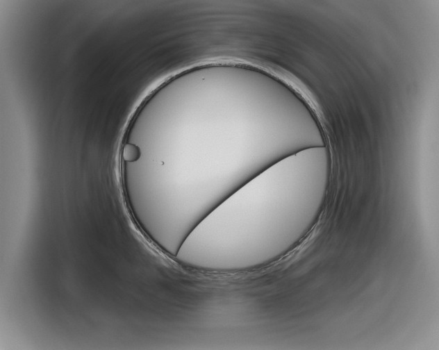 X0000116830958200912181052