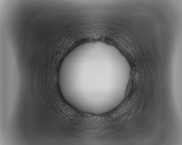X0000116830961200912181051