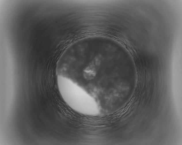 X0000116830962200912181051