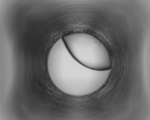 X0000116830964200912181051