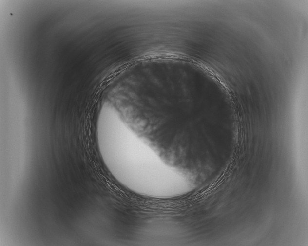 X0000116830966200912181051