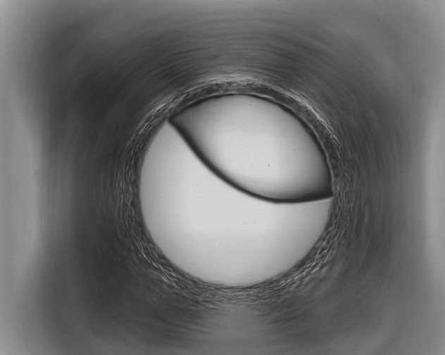 X0000116830967200912181051