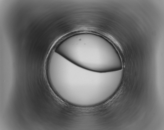 X0000116830972200912181051