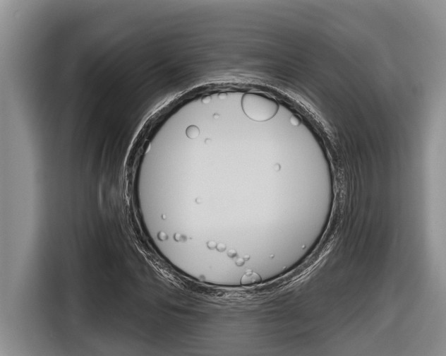X0000116830974200912181051