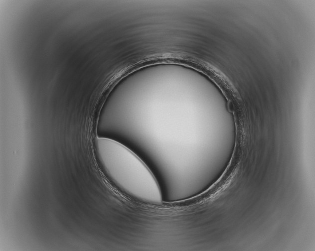 X0000116830977200912181051