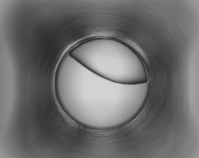 X0000116830980200912181051