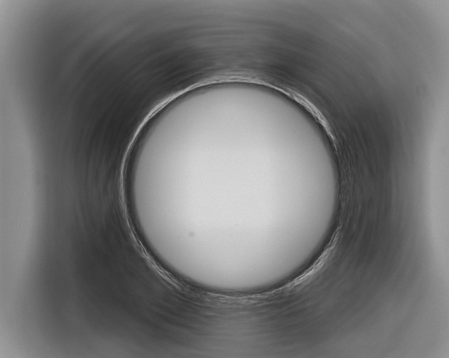 X0000116830981200912181051