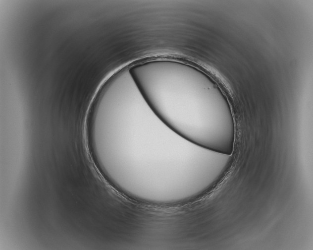 X0000116830983200912181051