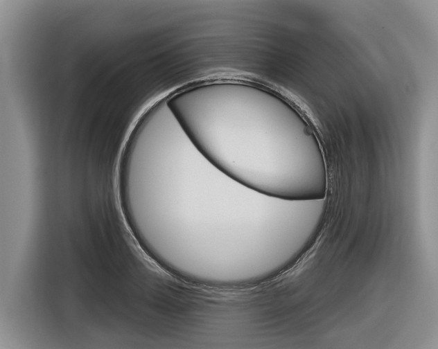 X0000116830987200912181051