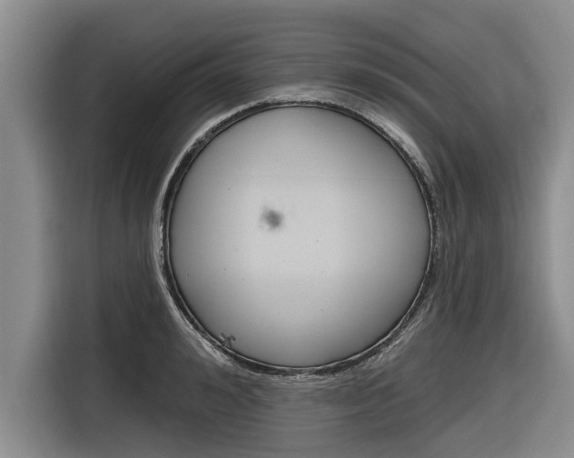 X0000116830992200912181051
