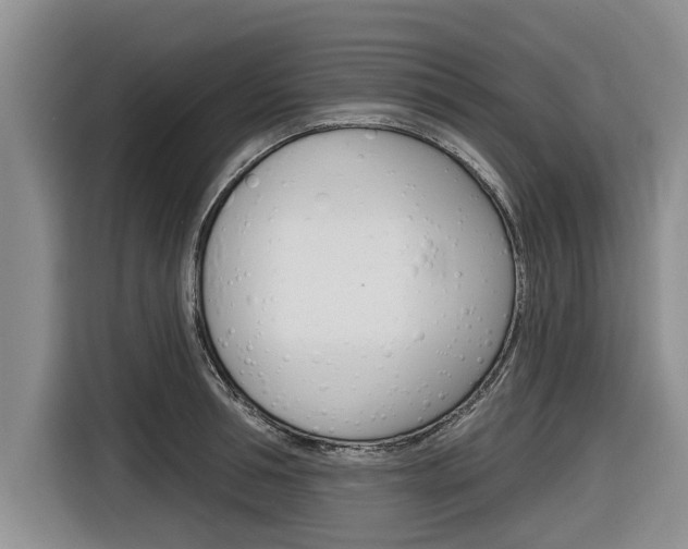 X0000116830994200912181050