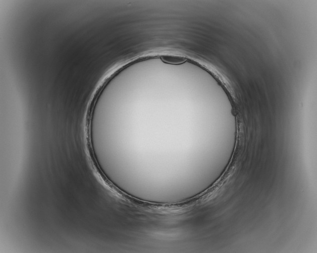 X0000116830998200912181050