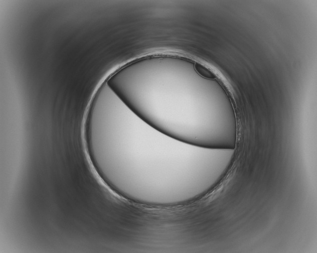 X0000116830999200912181050
