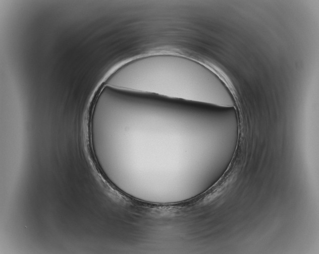 X0000116831000200912181050