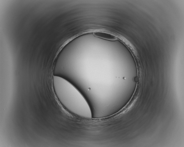 X0000116831001200912181050