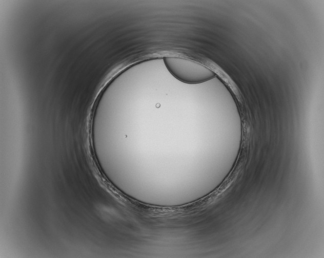 X0000116831002200912181050