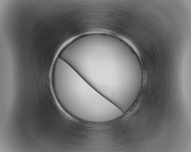 X0000116831003200912181050