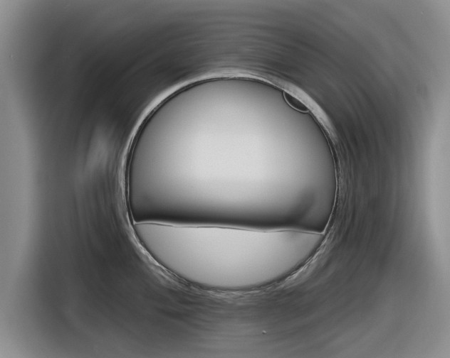 X0000116831004200912181050