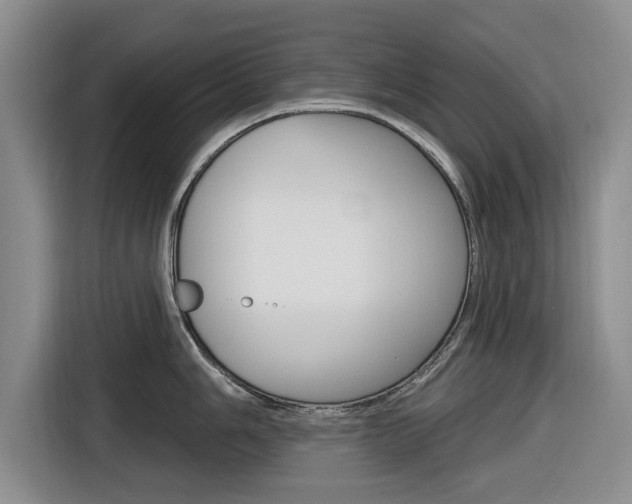 X0000116831006200912181050